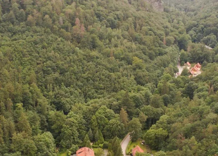 Ferienhaeuser Am Brocken, 80 Qm 3 Schlafzimmer Дом отдыха